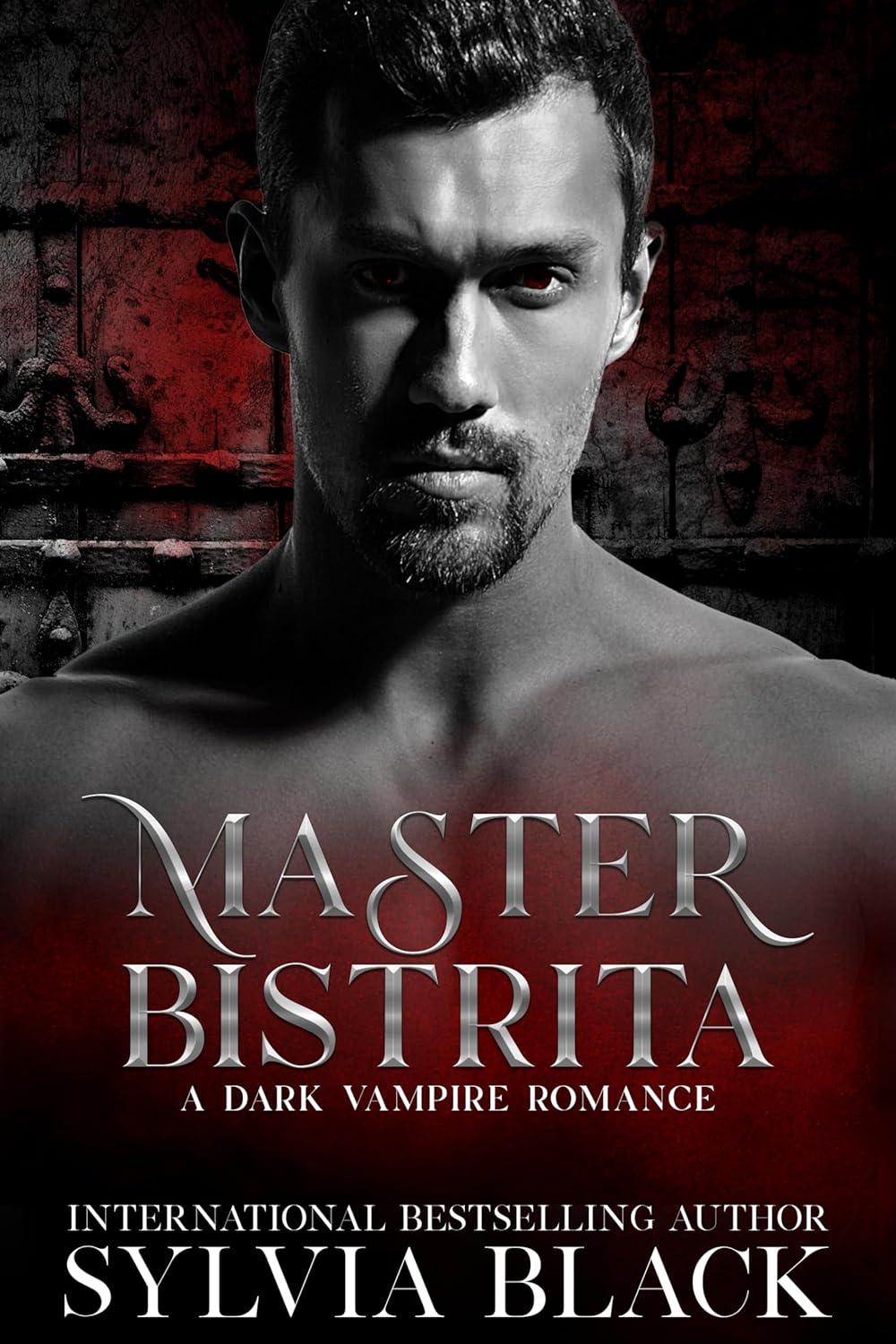 Master Bistrita book cover