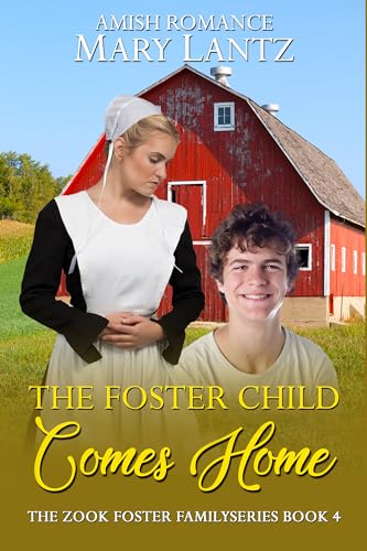 The Foster Child Comes Home: The Zook Family Foster Series