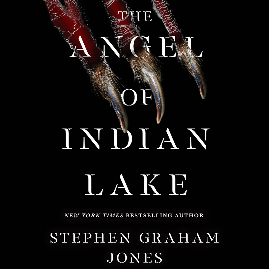 The Angel of Indian Lake (The Indian Lake Trilogy, #3)