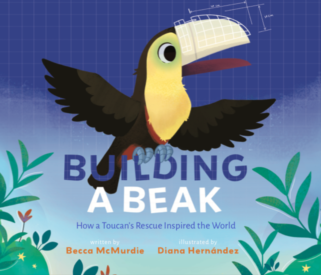 Building a Beak: How a Toucan's Rescue Inspired the World