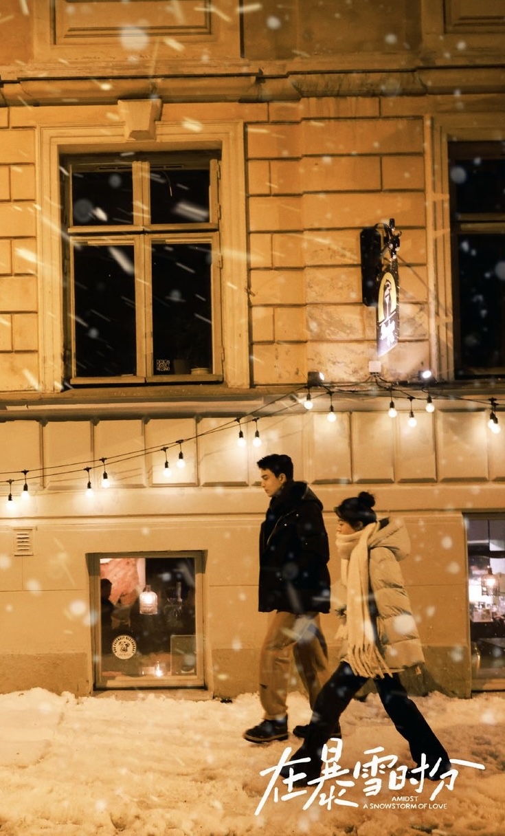 During the Snowstorm