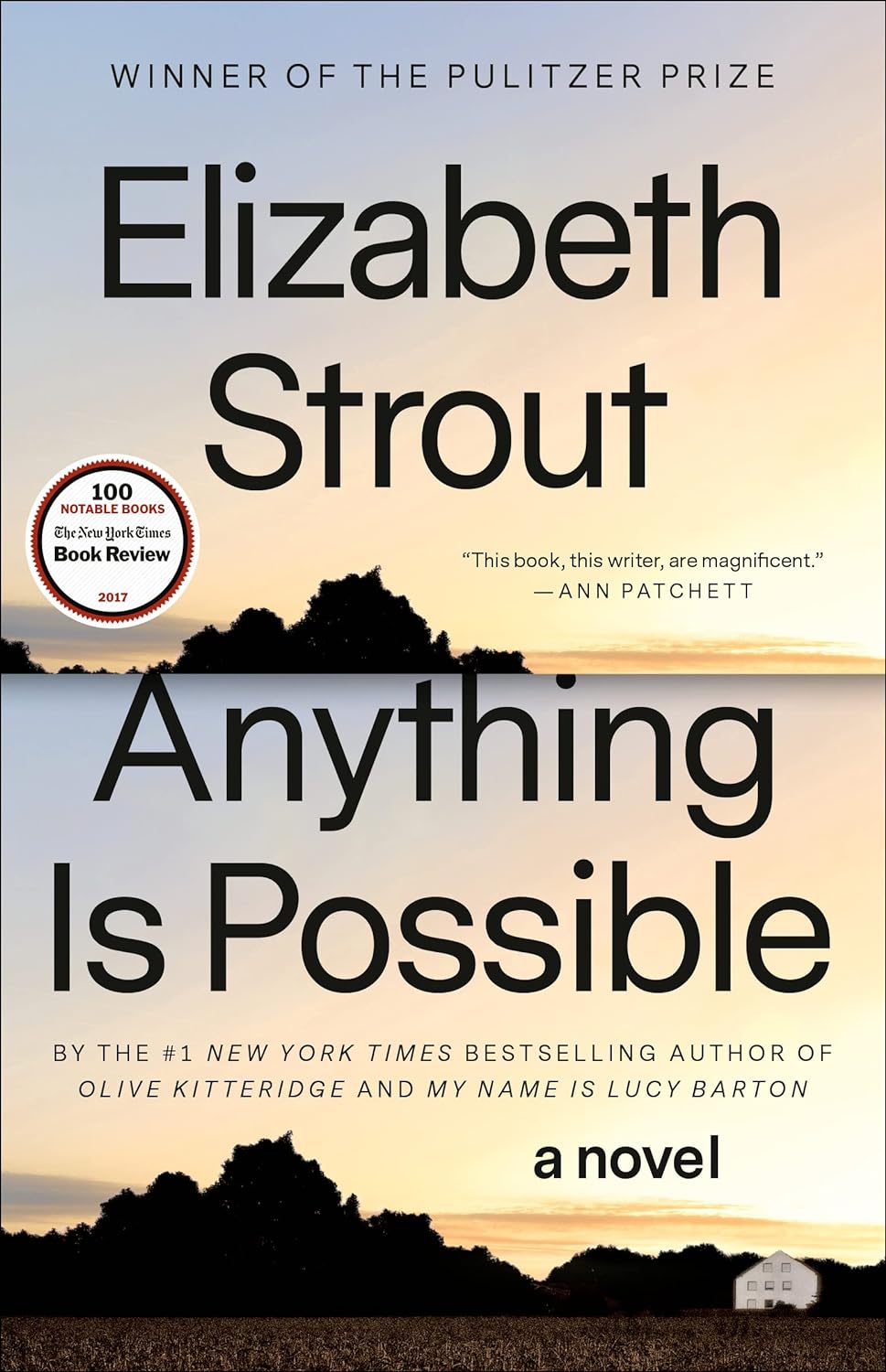 Anything Is Possible (Amgash #2)