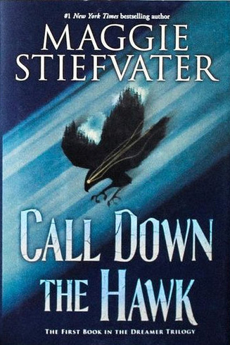 Call Down the Hawk (Dreamer, #1)