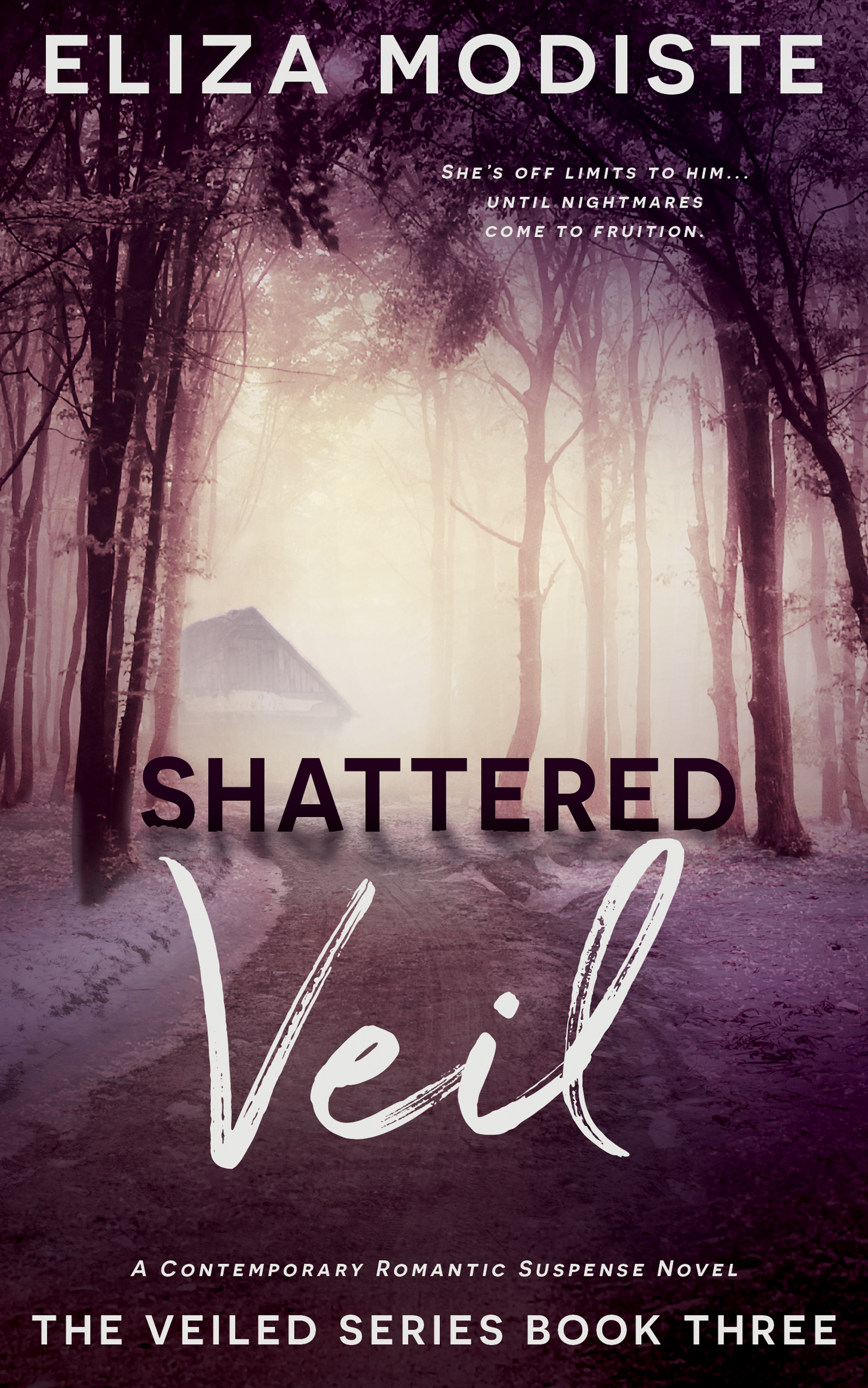 Shattered Veil: A Forbidden Relationship Contemporary Romantic Suspense Novel