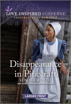 Disappearance in Pinecraft book cover