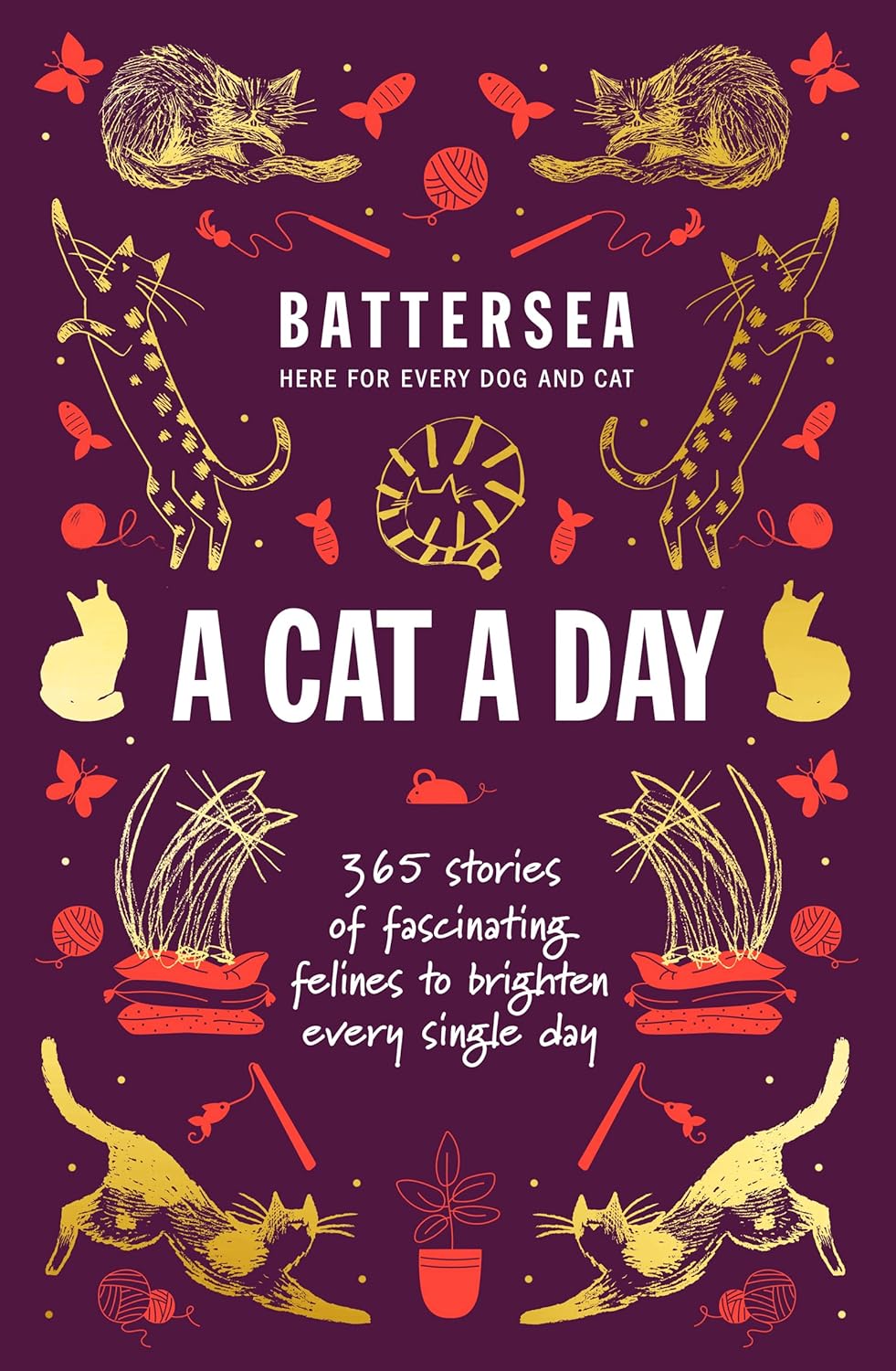 A Cat a Day