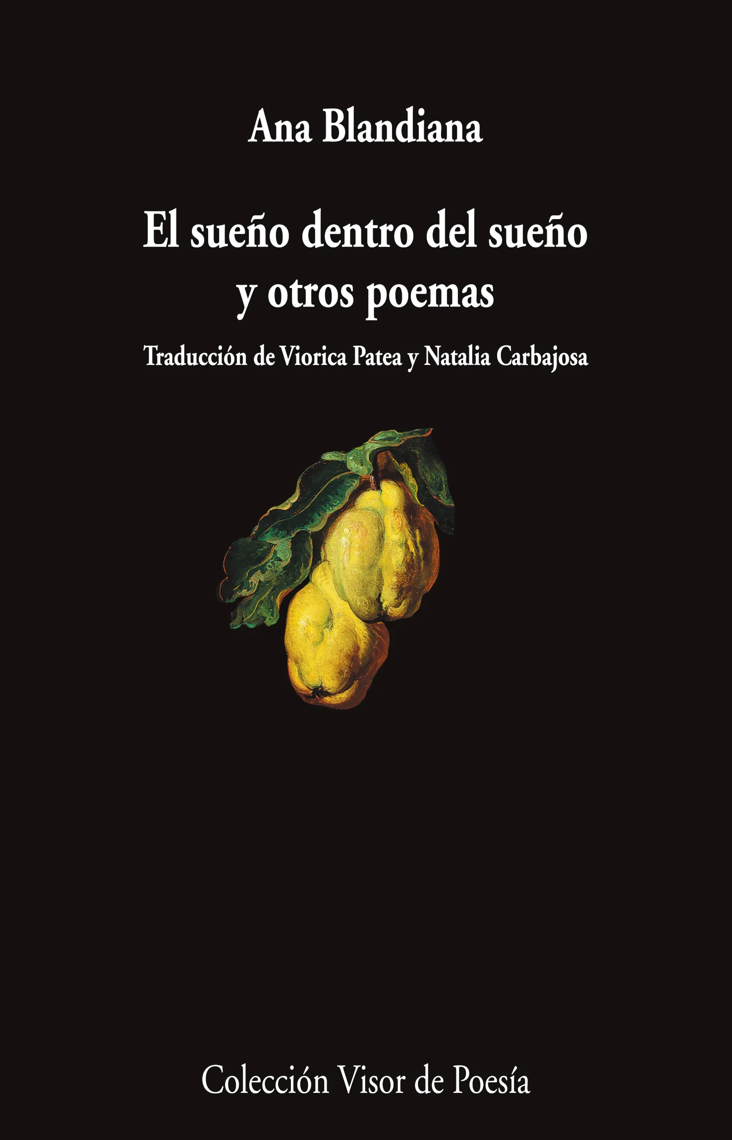 El sueño dentro del sueño y otros poemas book cover