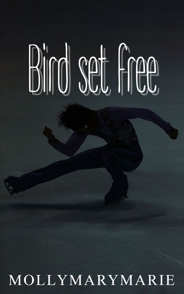 Bird Set Free