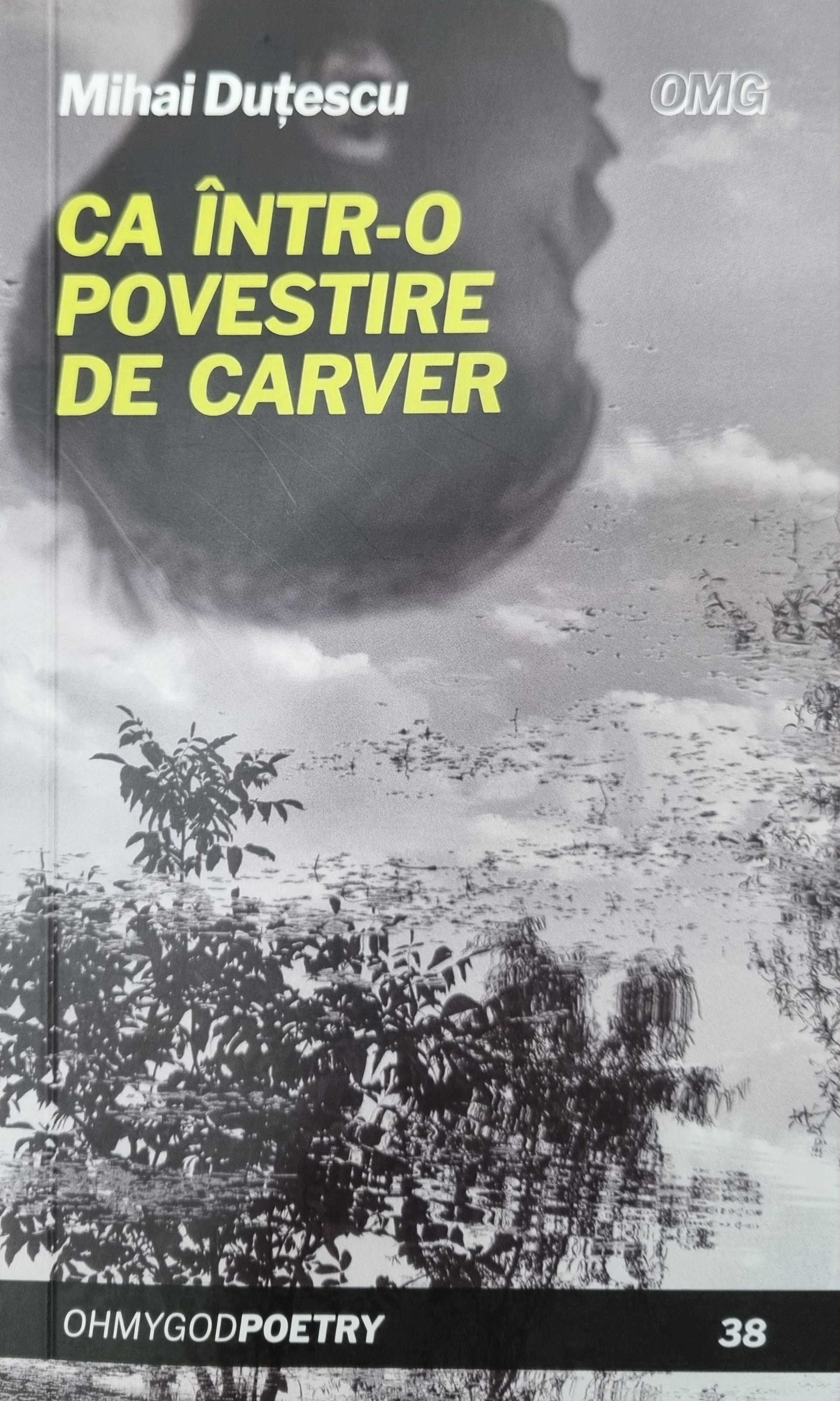 ca într-o povestire de carver