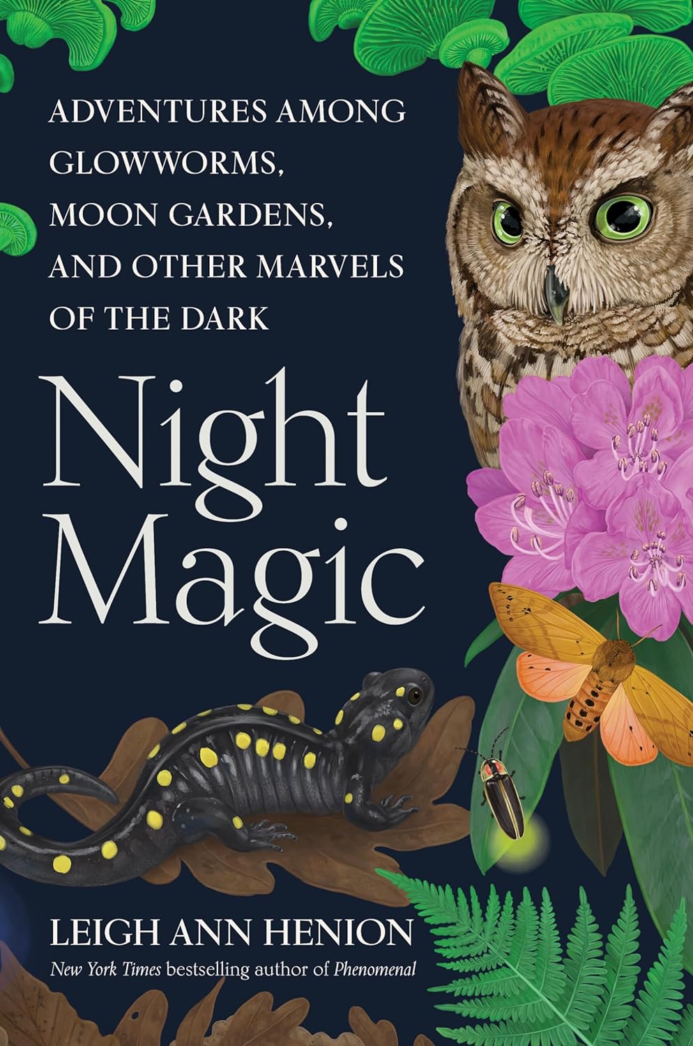 Night Magic: Adventures Among Glowworms, Moon Gardens, and Other Marvels of the Dark