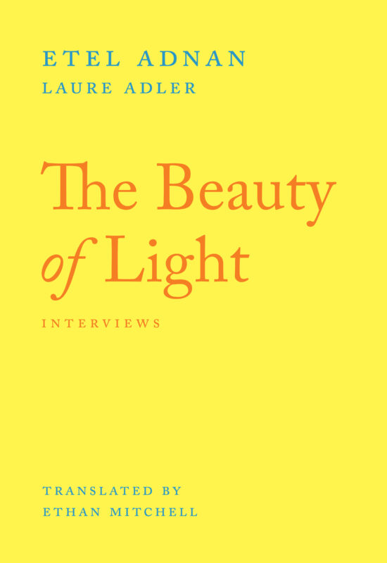 The Beauty of Light book cover