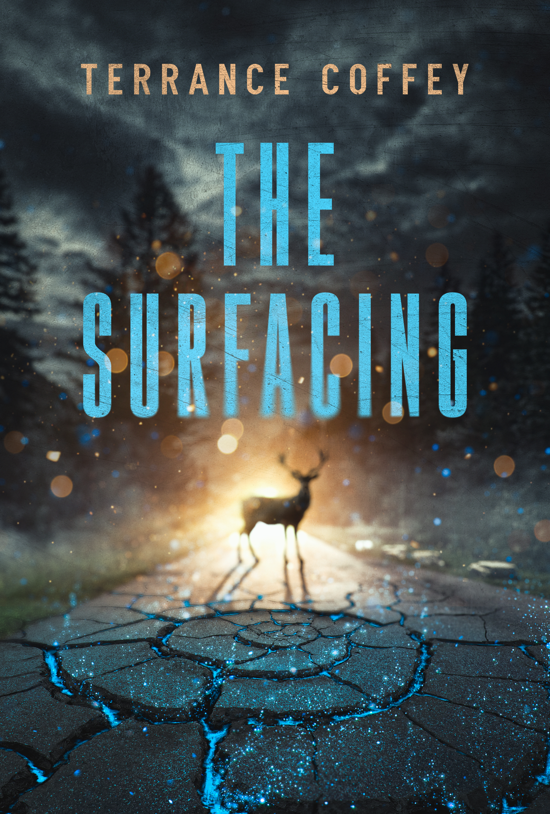 The Surfacing