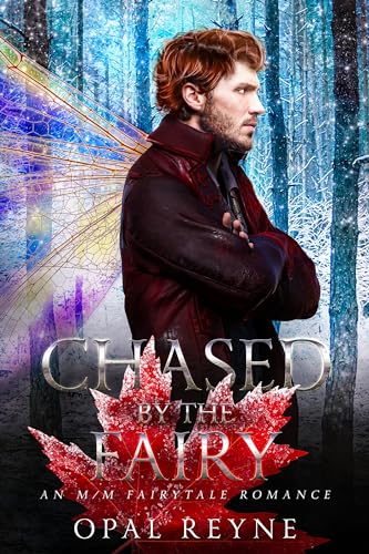 Chased by the Fairy book cover