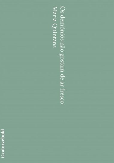 Os demónios não gostam de ar fresco book cover