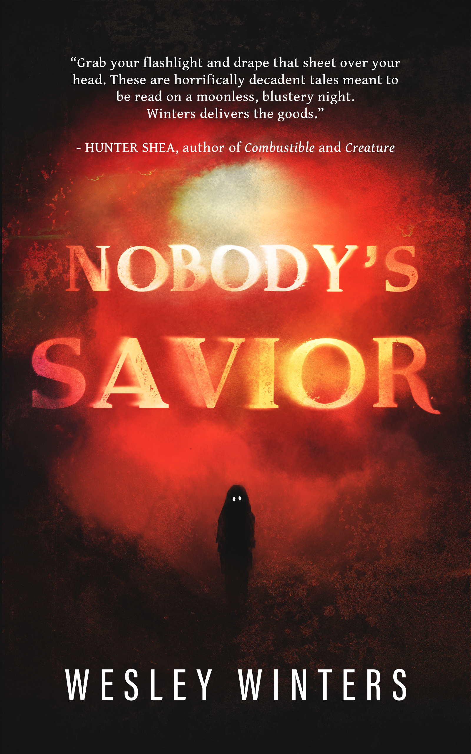 Nobody's Savior