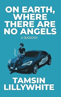 On Earth, Where There are No Angels by Tamsin Lillywhite | Goodreads