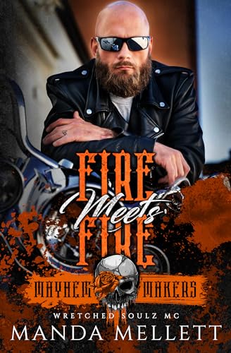Fire Meets Fire book cover