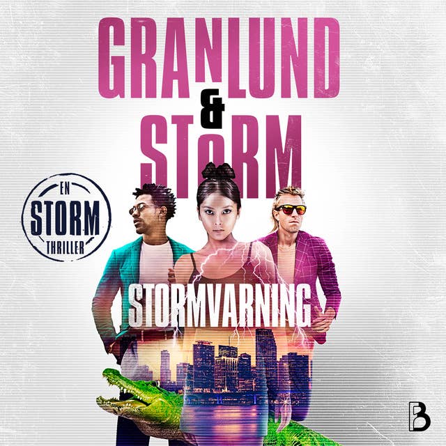 Stormvarning book cover
