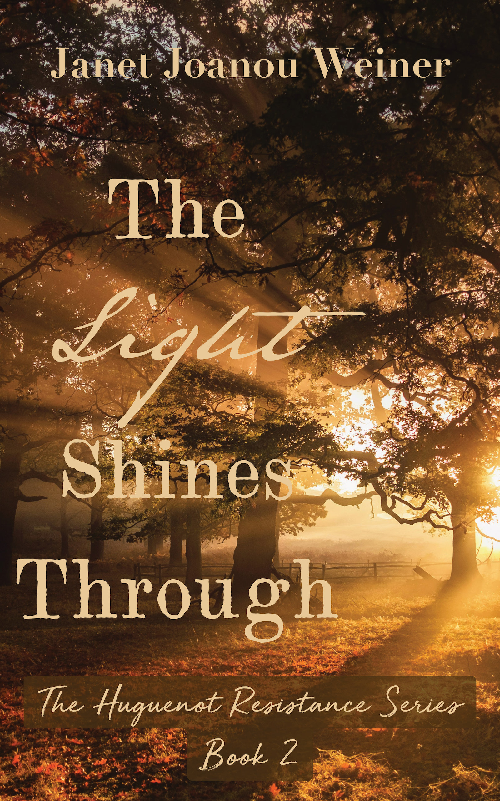 The Light Shines Through: The Huguenot Resistance Series Book 2
