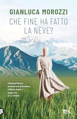 Che fine ha fatto la Neve? book cover