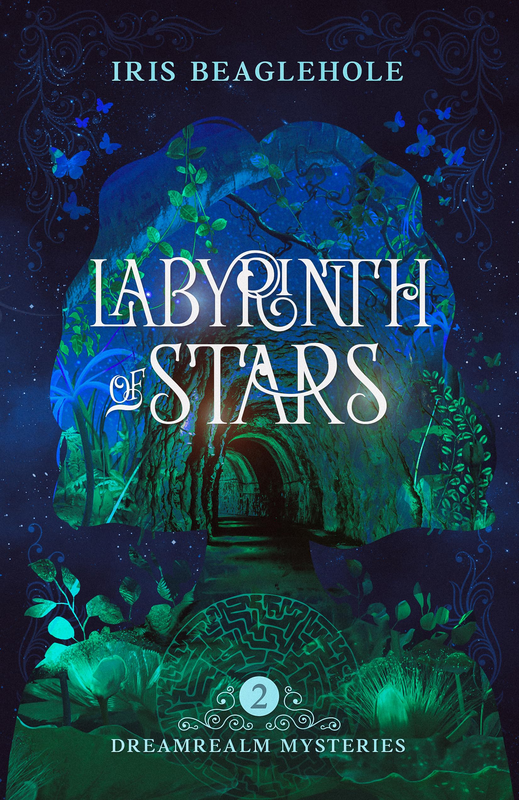Dreamrealm Mysteries book cover 2