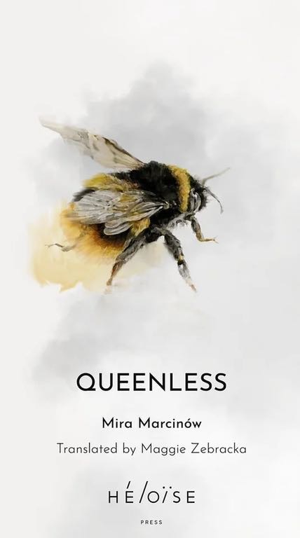 Queenless