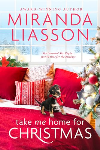 Take Me Home for Christmas (The Amazing Doctors of Oak Bluff #1)