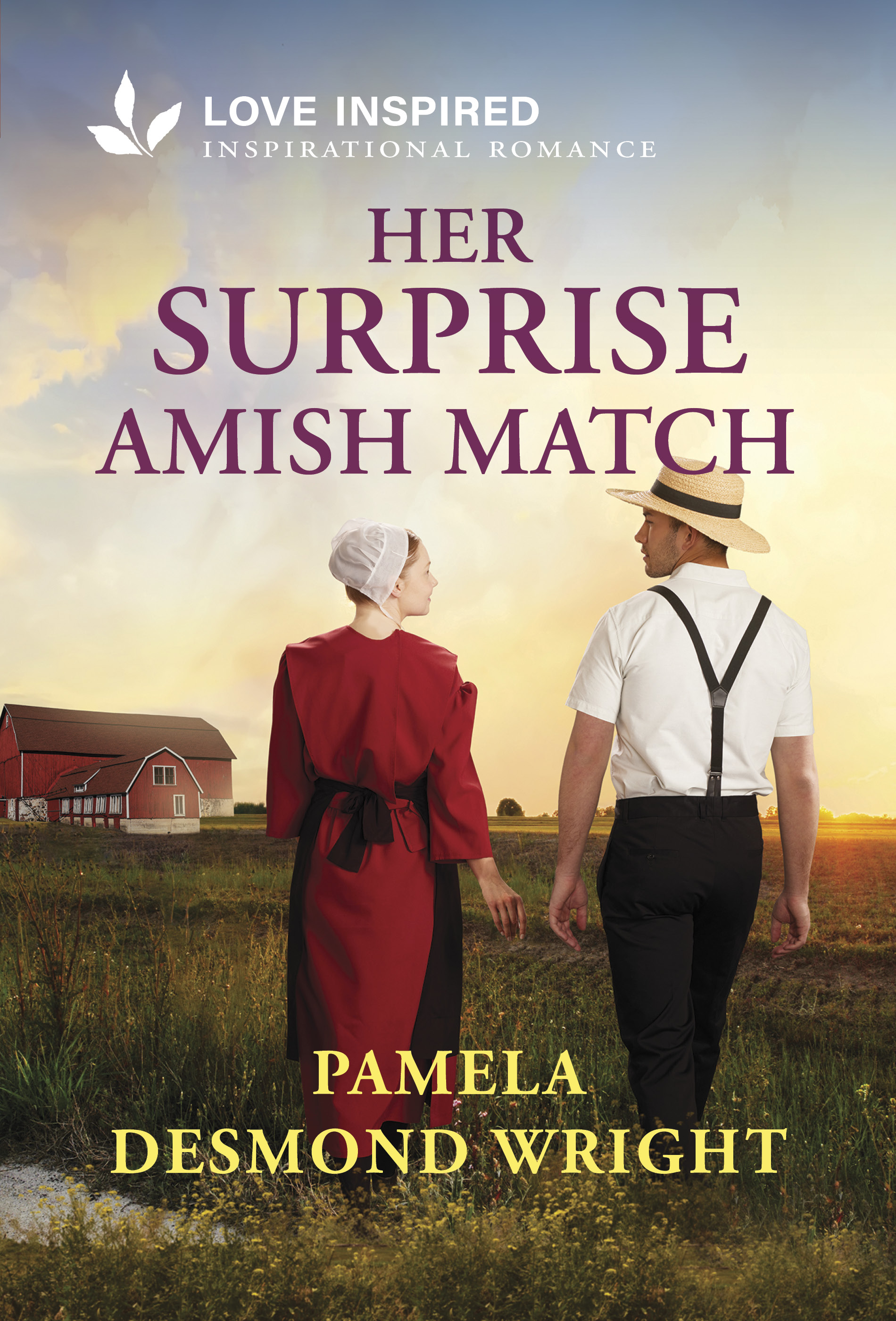 Her Surprise Amish Match