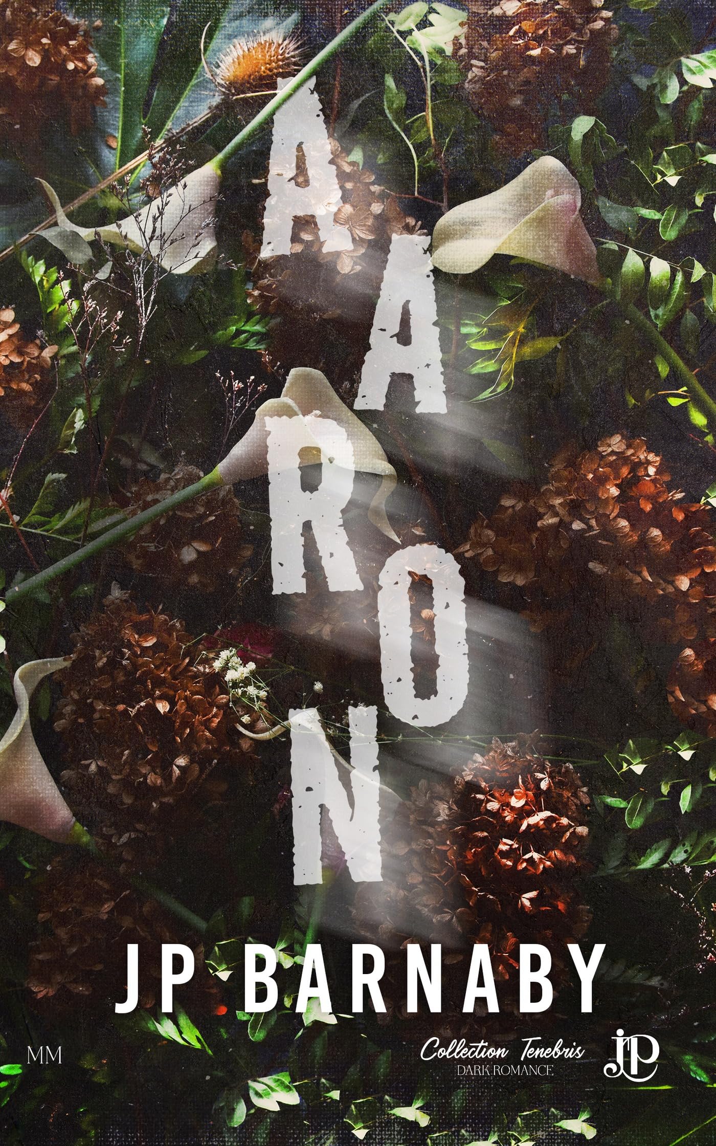 Aaron: Histoire d'un survivant #1