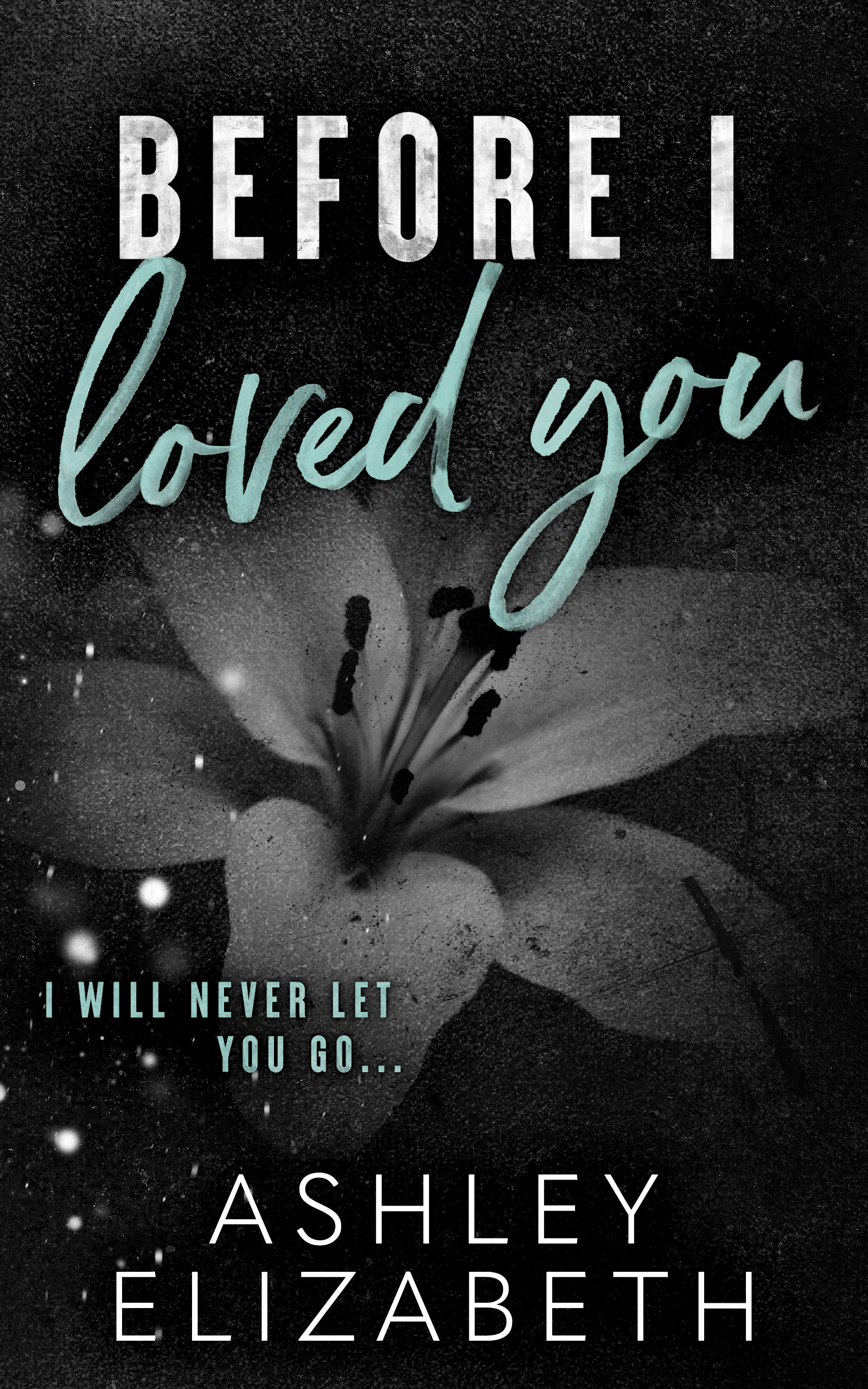 Before I Loved You