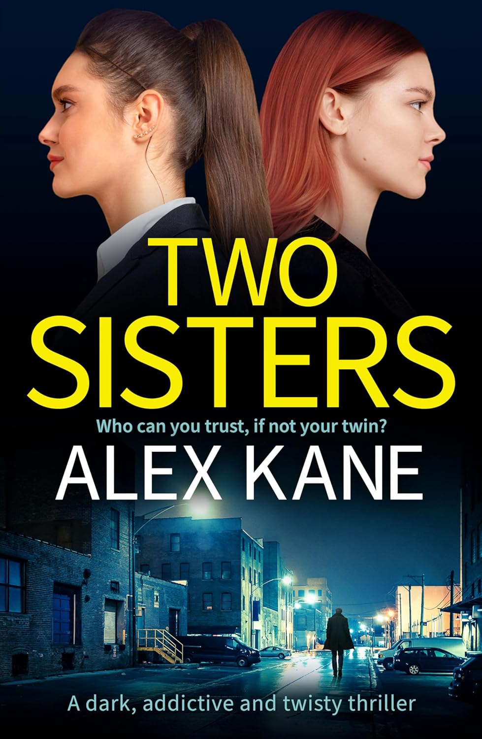 Two Sisters book cover