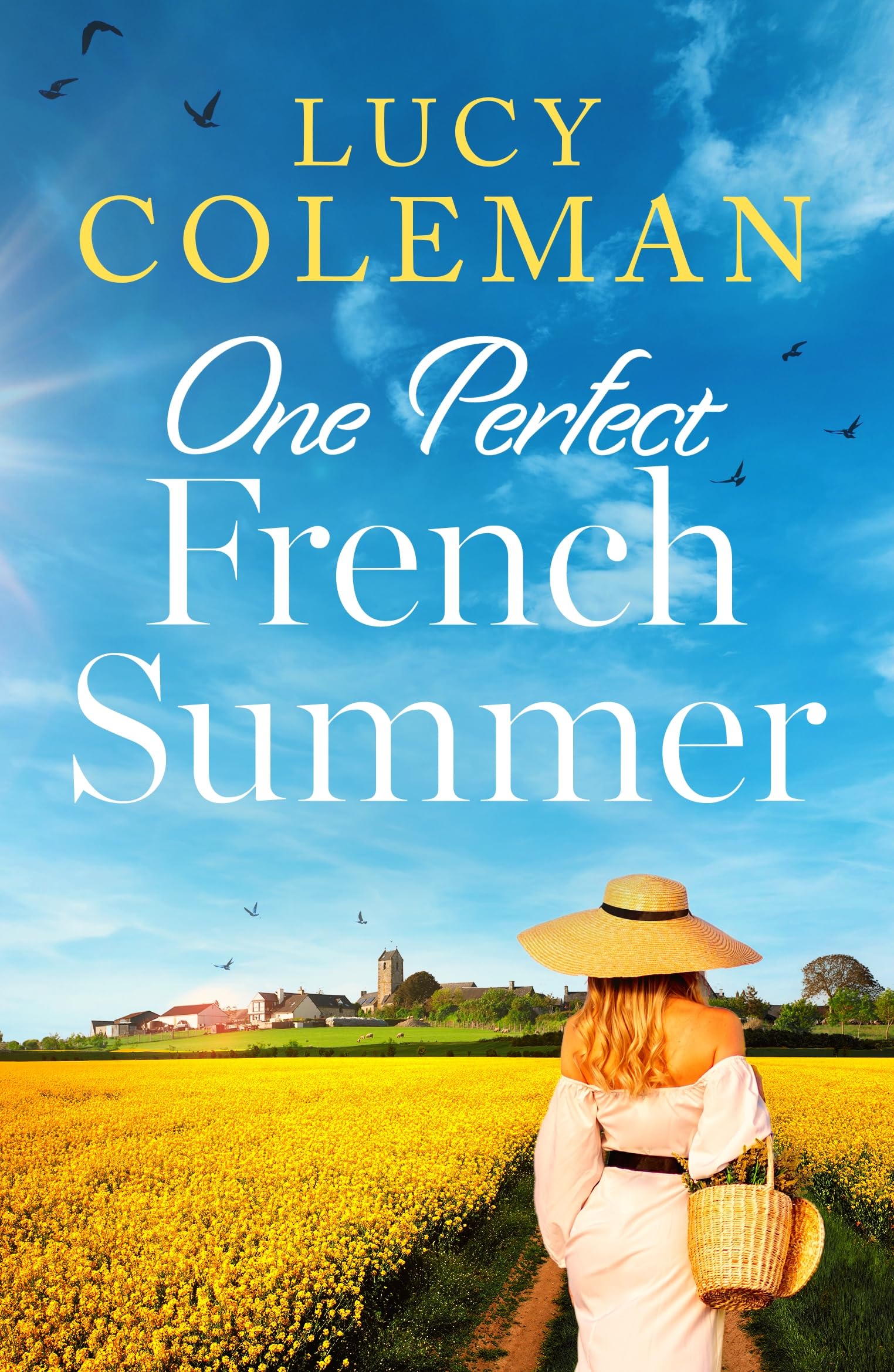 One Perfect French Summer book cover