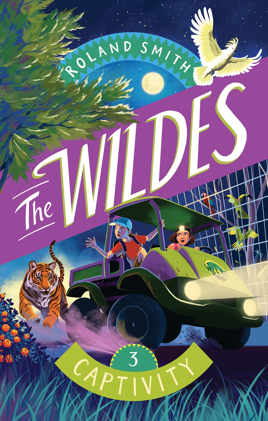 Captivity book cover