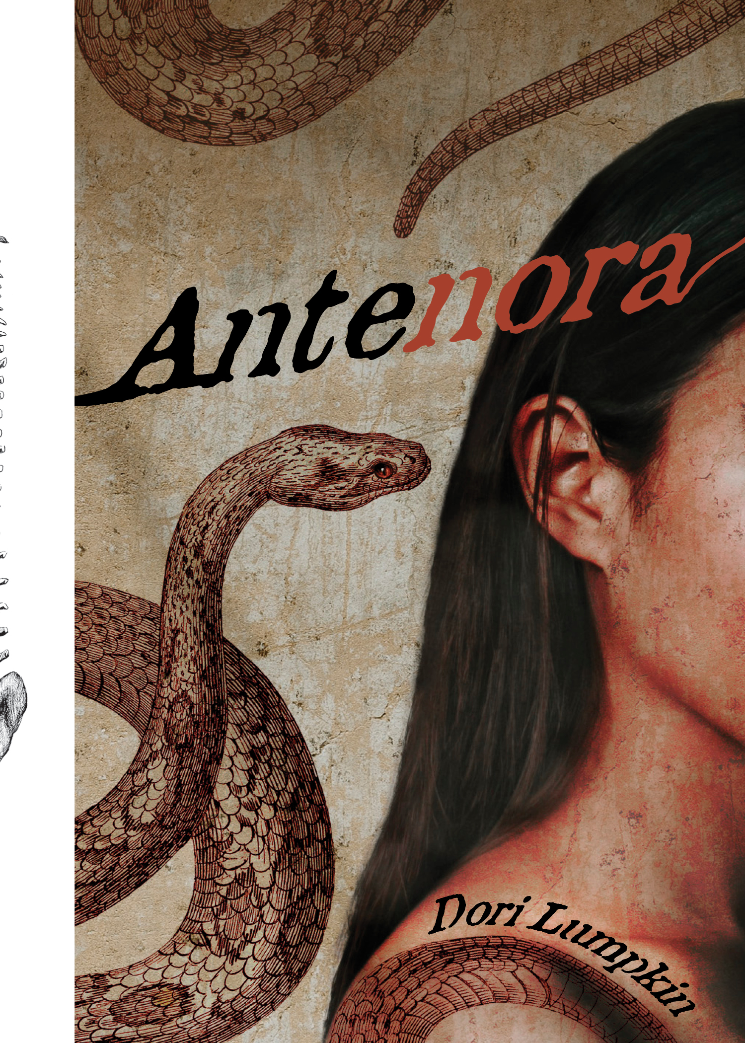Antenora