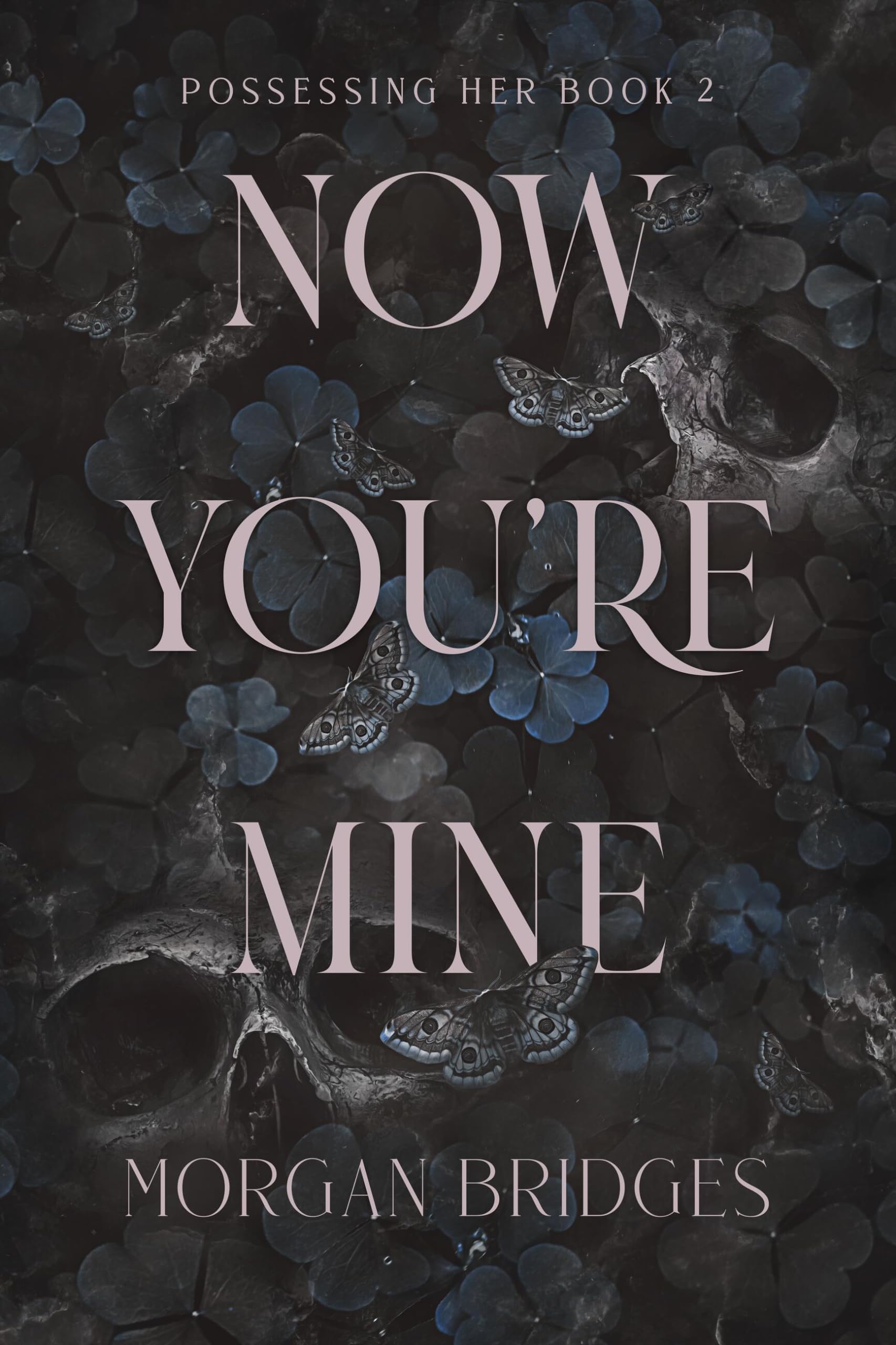 Now You're Mine (Possessing Her)