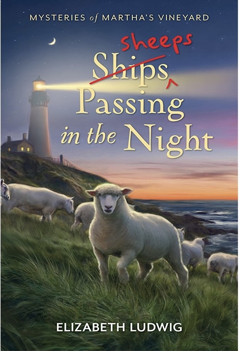 Sheeps Passing in the Night book cover
