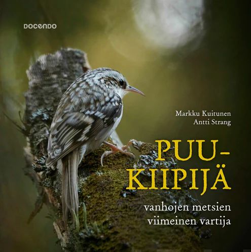 Puukiipijä - Vanhojen metsien viimeinen vartija