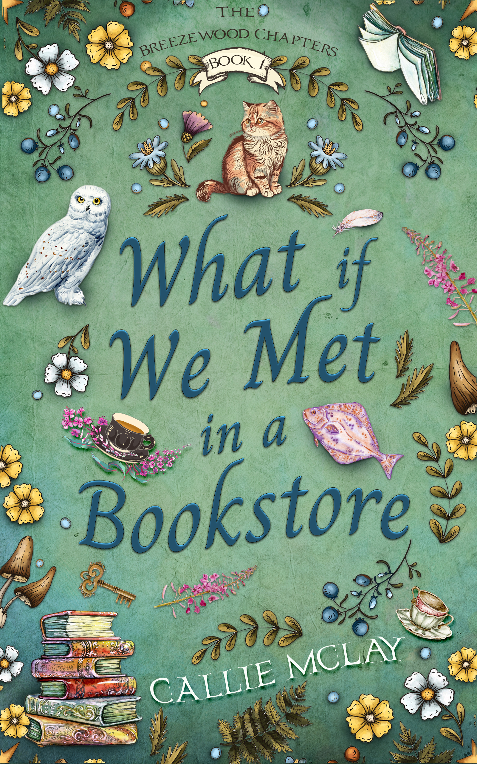 What If We Met In A Bookstore (Breezewood Chapters)