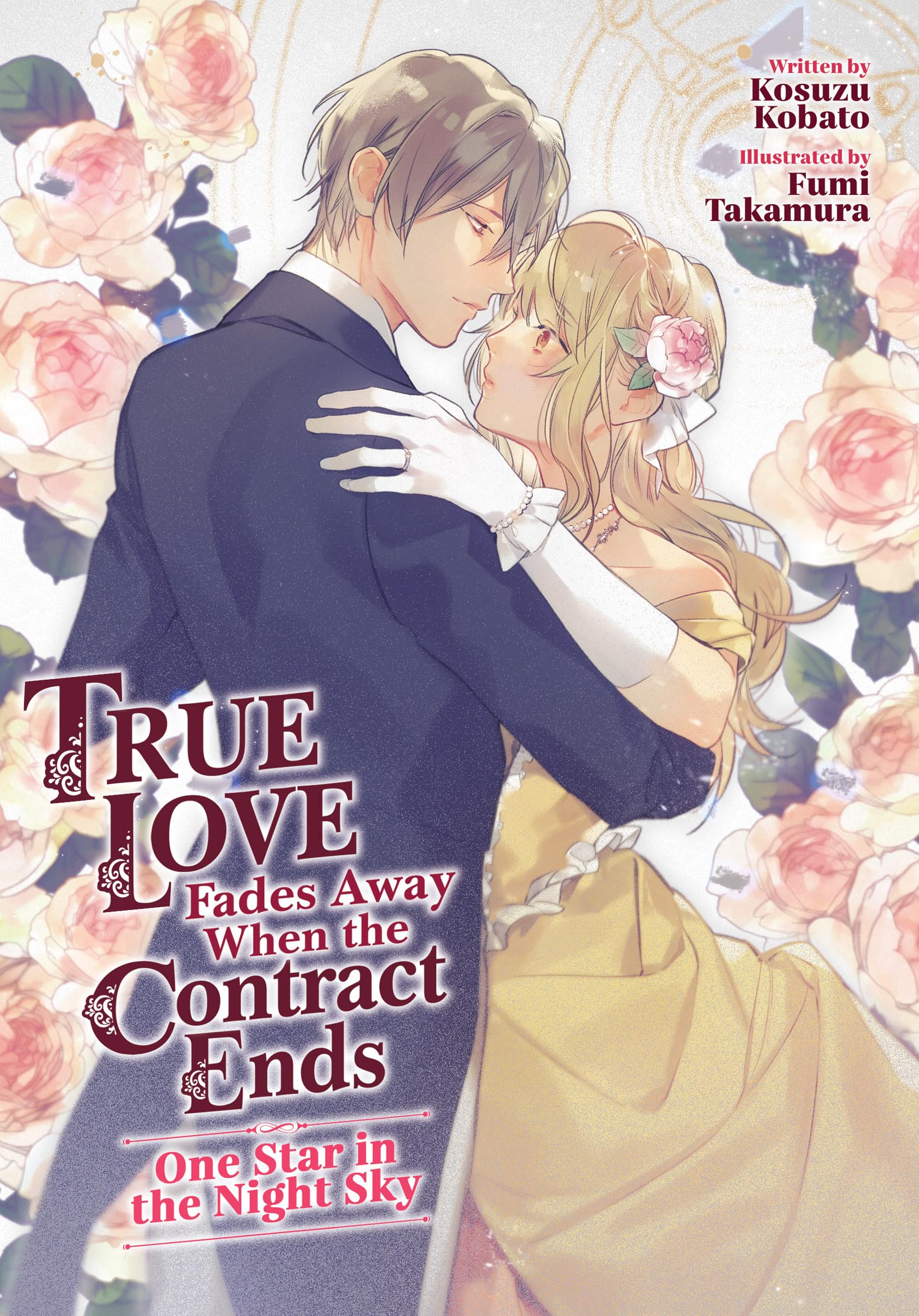 True Love Fades Away When the Contract Ends - One Star in the Night Sky (Light Novel) Volume 1