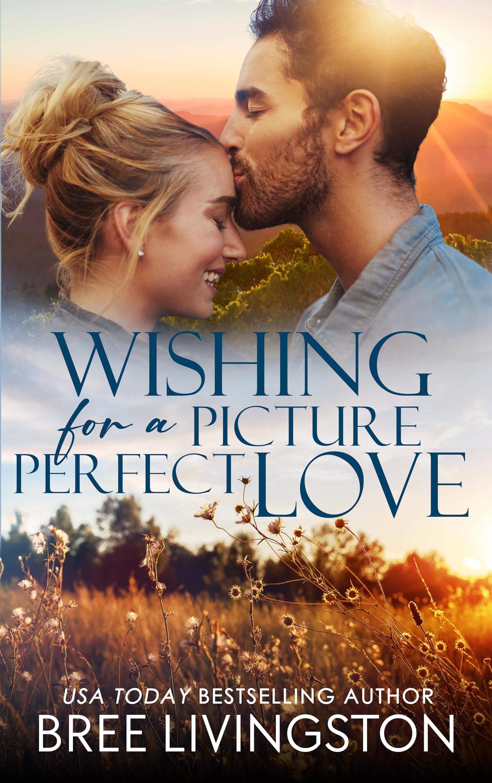 Wishing for a Picture Perfect Love book cover