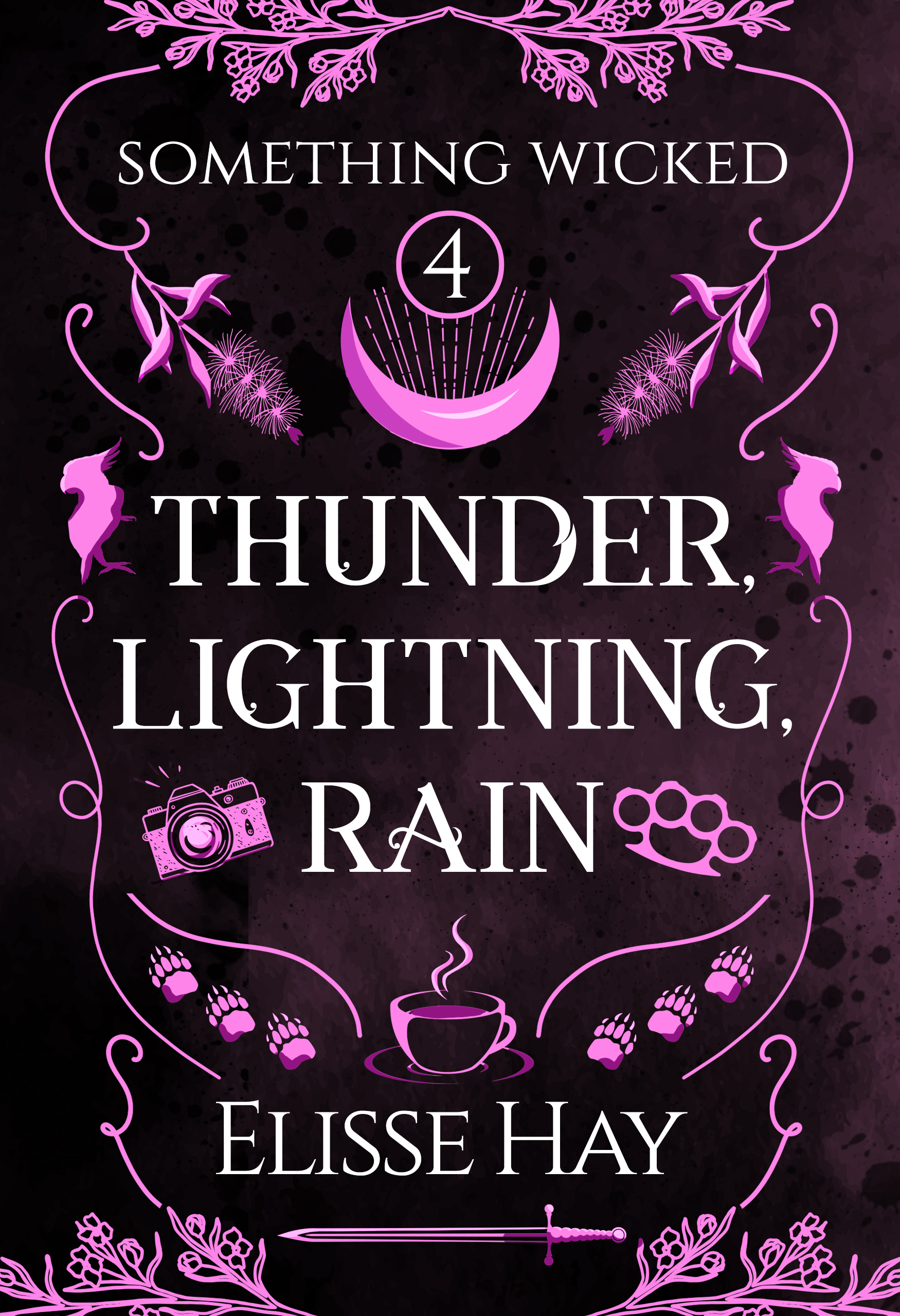 Thunder, Lightning, Rain book cover
