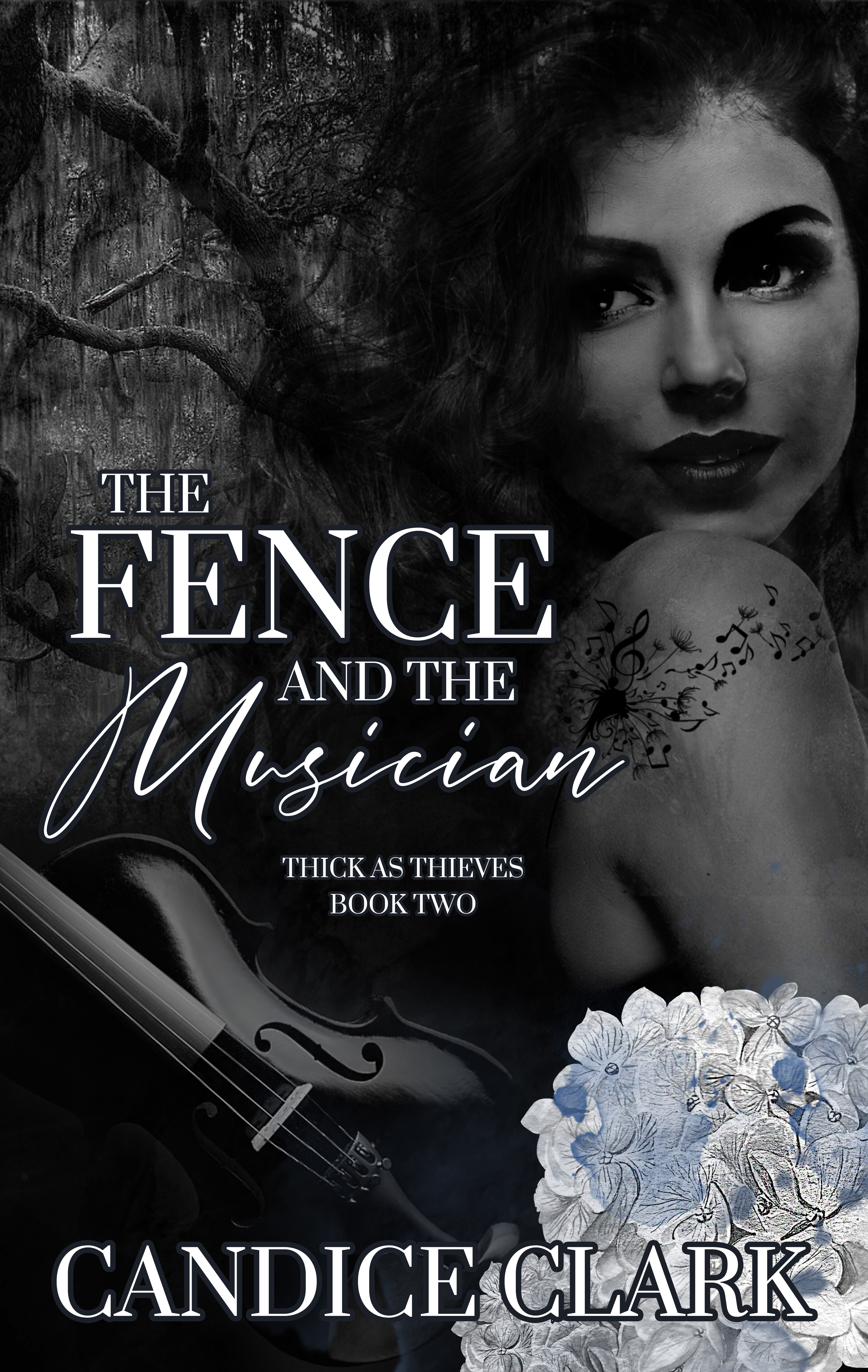 The Fence and the Musician