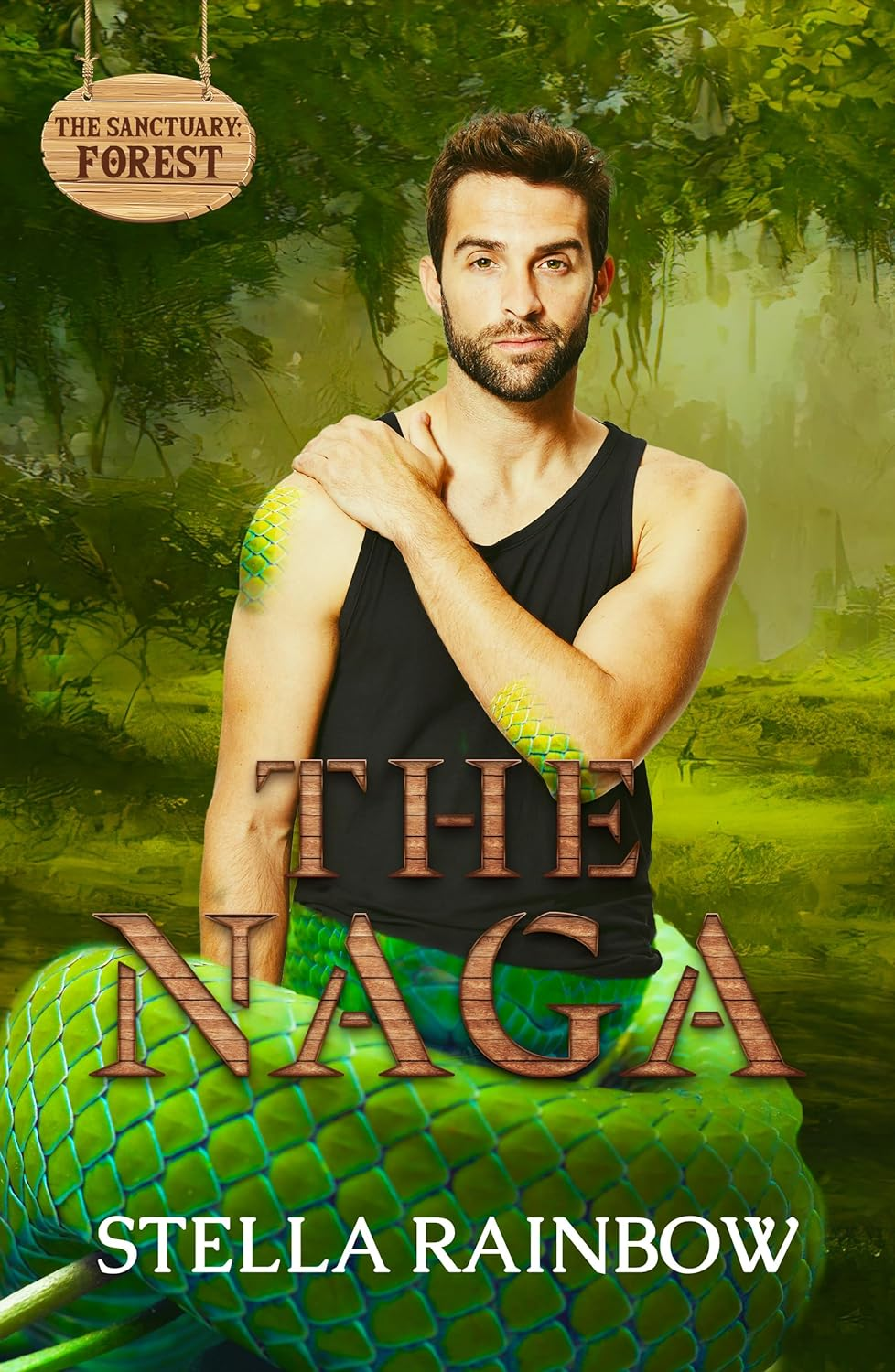 The Sanctuary book cover 1