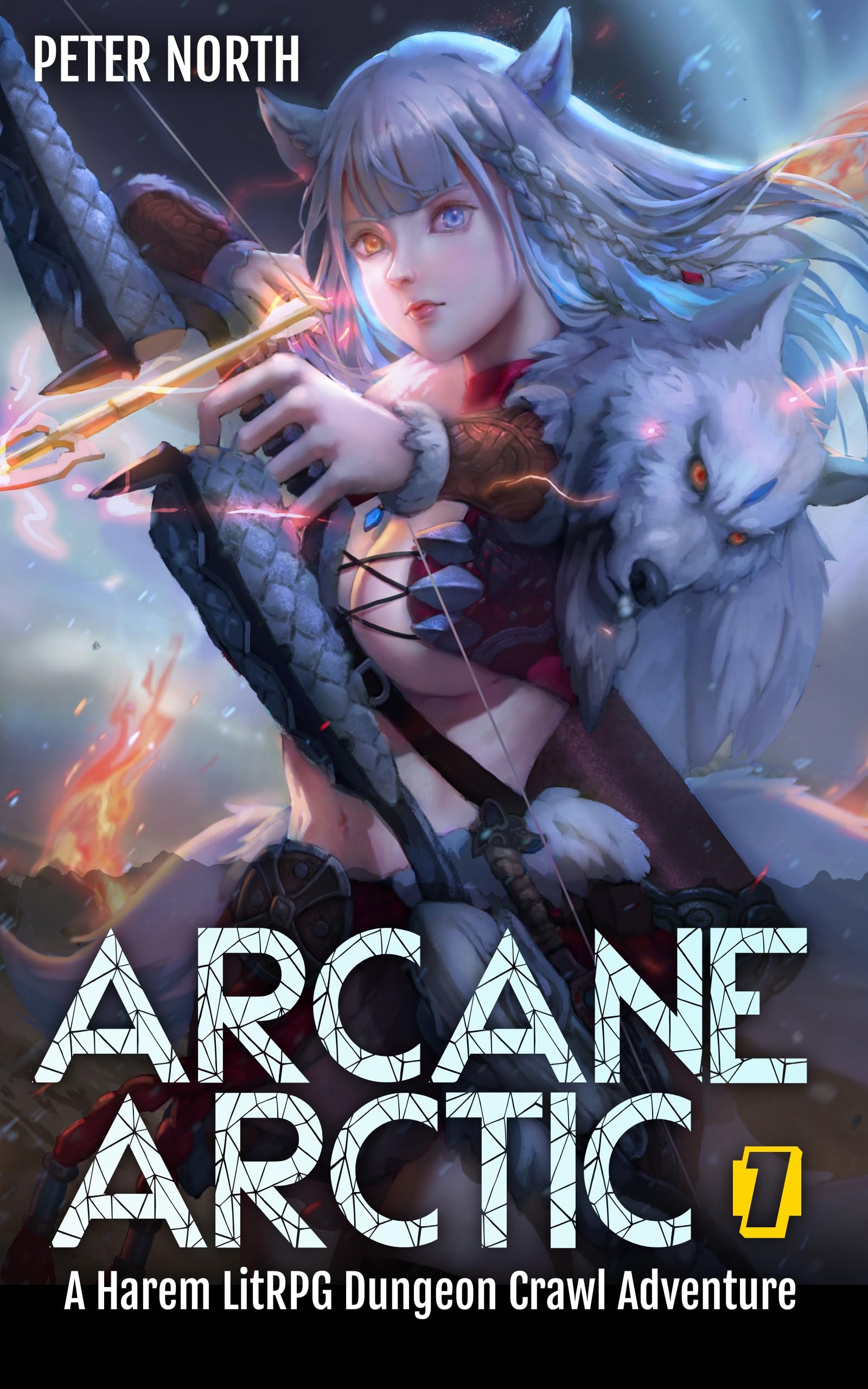 Arcane Arctic book cover