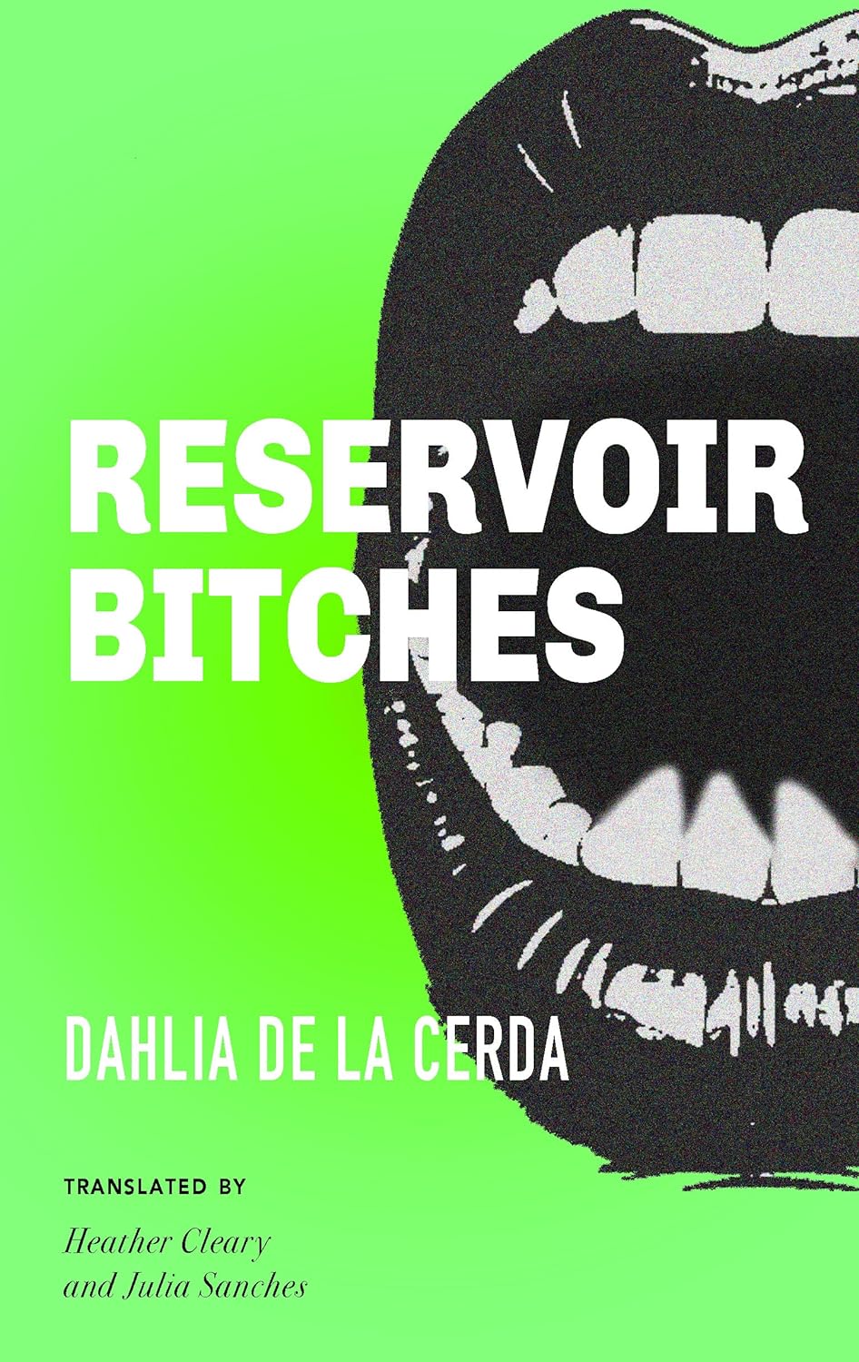 Reservoir Bitches: Stories