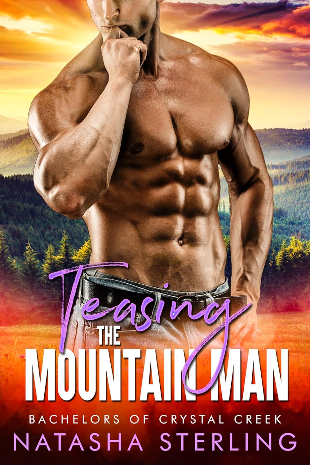 Bachelors of Crystal Creek book cover 2