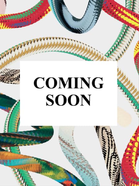 James Baldwin. Steve Schapiro. the Fire Next Time book cover