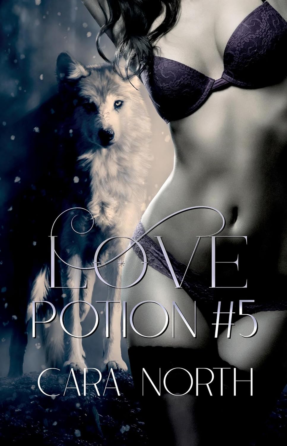 Love Potion #5 book cover