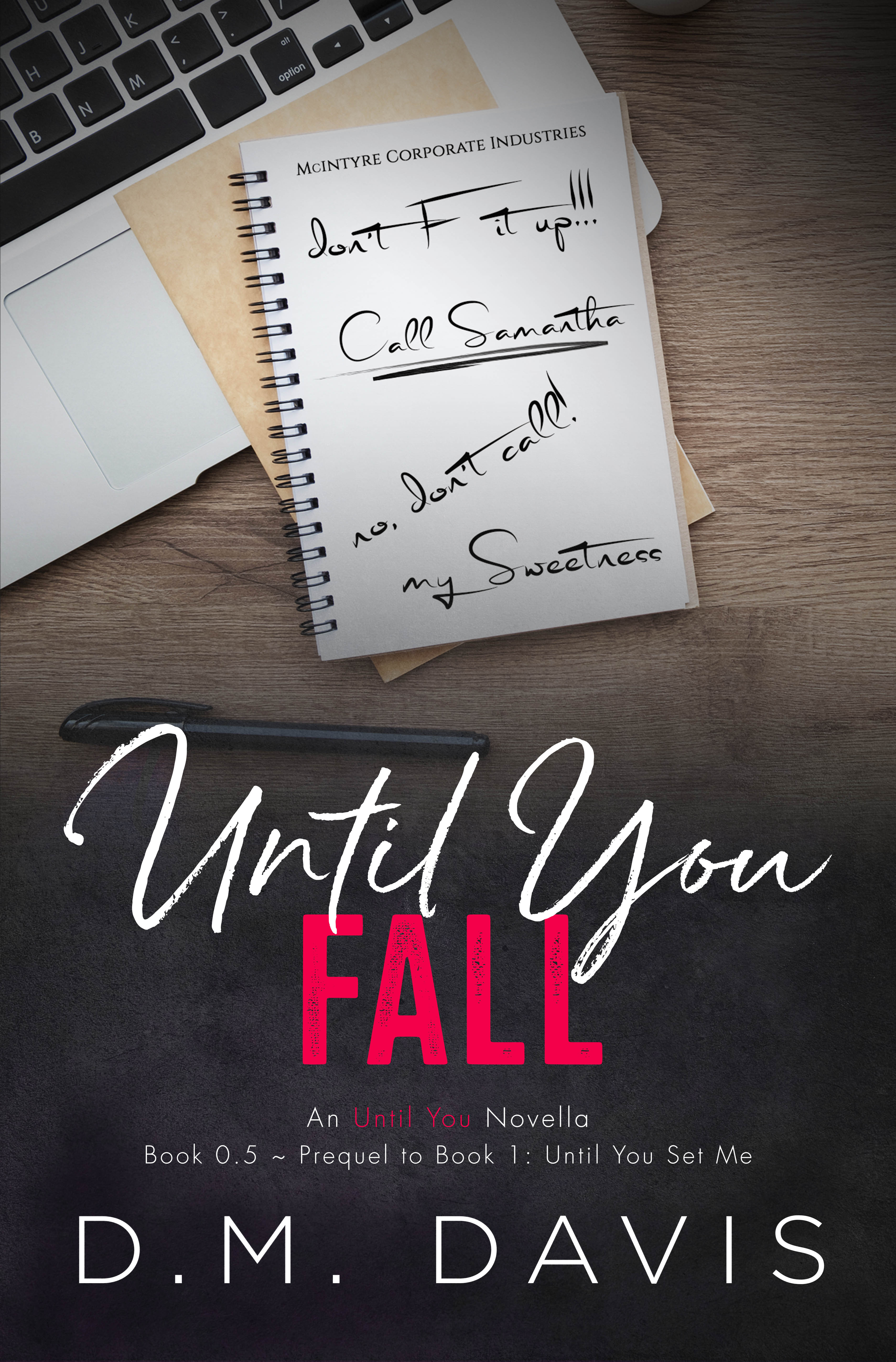 Until You book cover 1