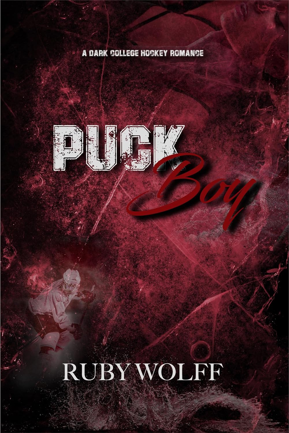 Puck Boy book cover